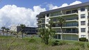 Condo from the walkway to the beach